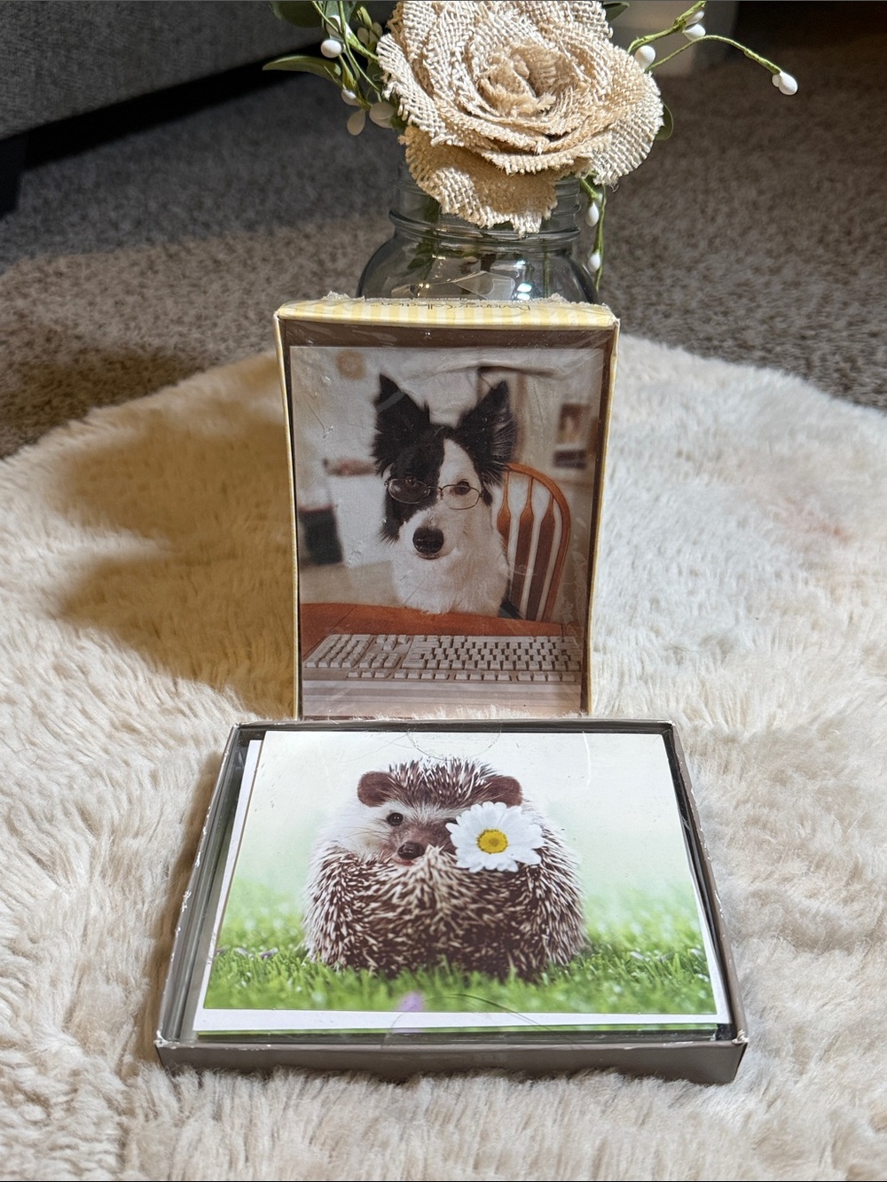 ✨American Greeting- Hedgehog & Dog Blank Cards and Envelops Set✨